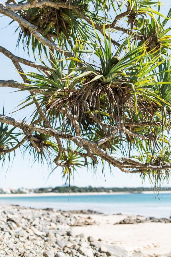 One Marola Is Stylish Privacy In Paradise Noosa Heads Exterior foto